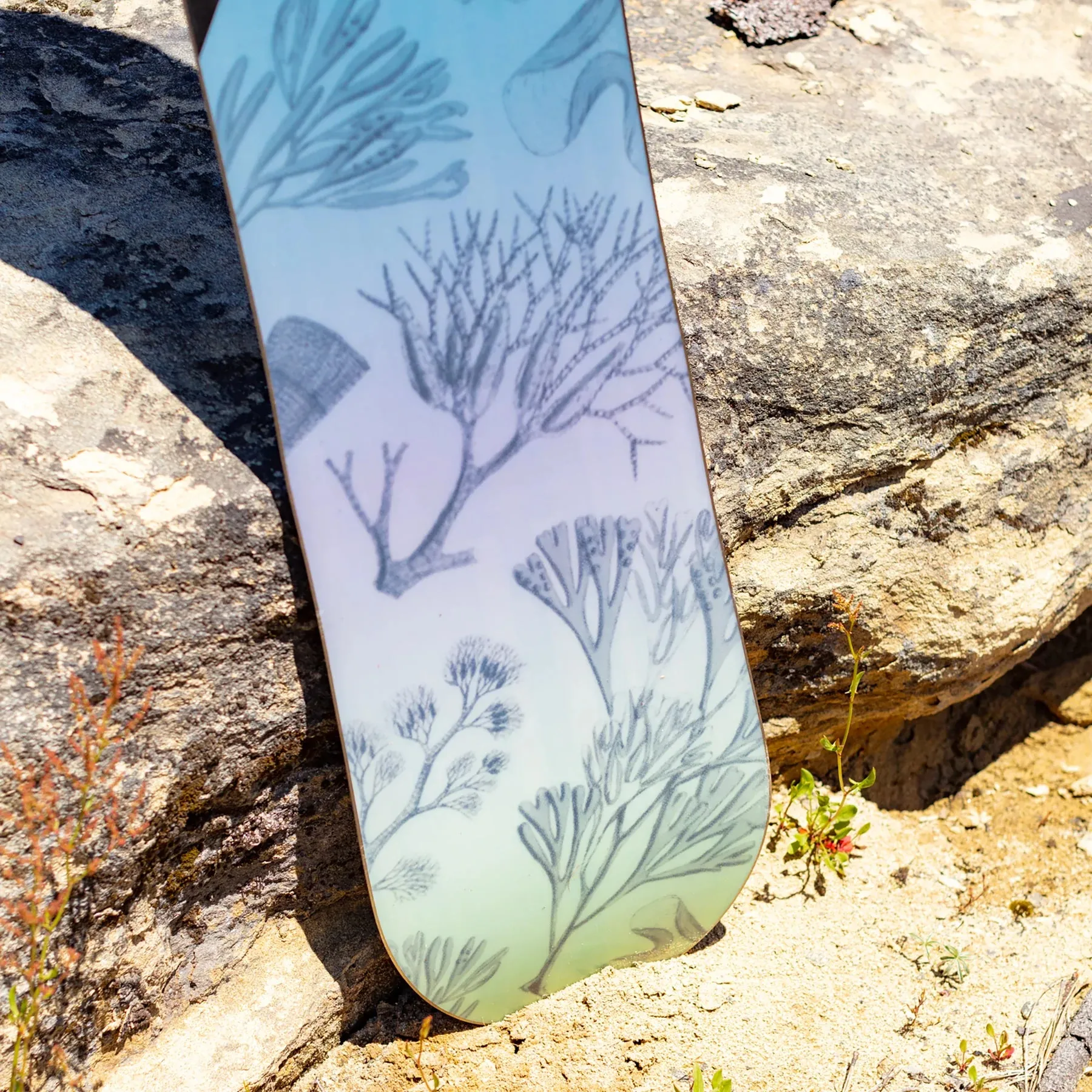 Arbor Veda Camber Snowboard 2023