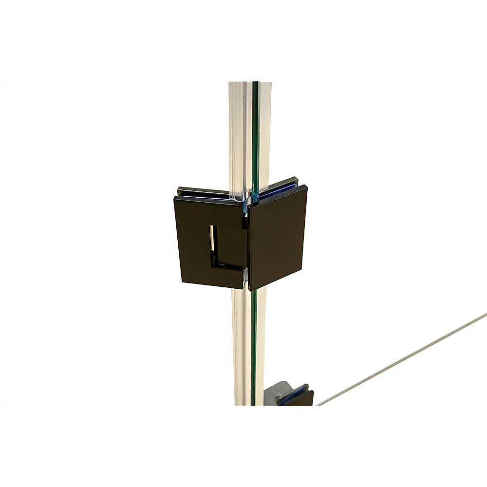 Frameless Glass Shower Screen, 10mm, Stainless Steel, Black - Della Francesca
