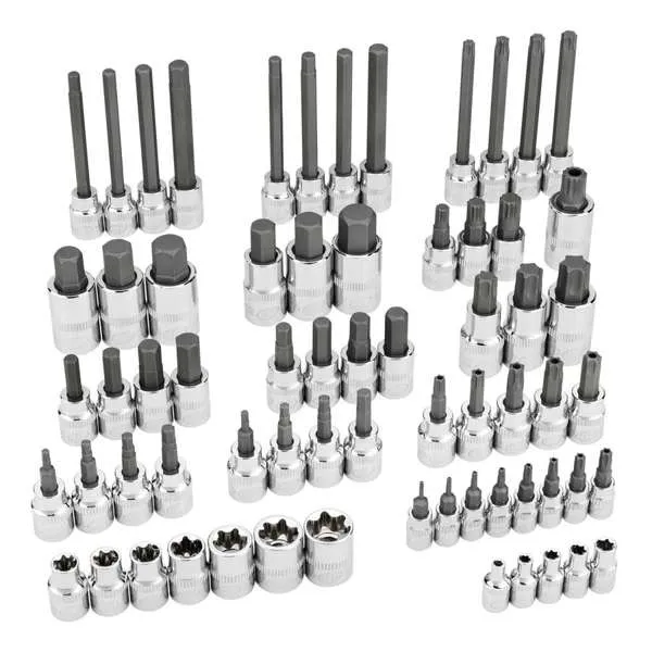INGERSOLL RAND 66 Piece Master Torx and Specialty Bit Socket Set
