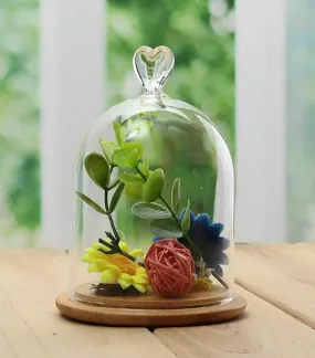 Laila Glass Cloche with Bamboo Base