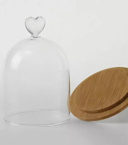 Laila Glass Cloche with Bamboo Base