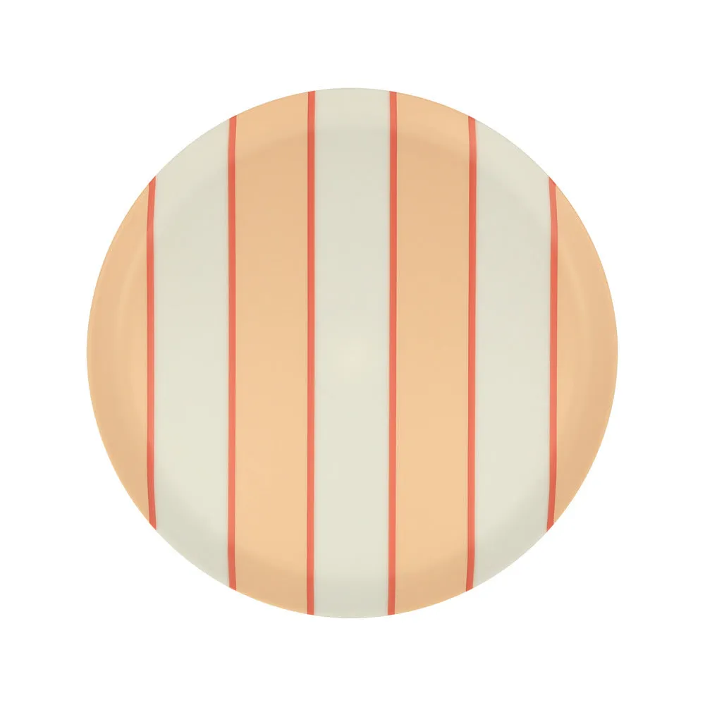 Mixed stripe recycled plastic plates Small (X 6)